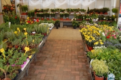 garden-aldrovandi-vivai-garden-01b