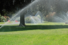 irrigazione-aldrovandi-vivai-garden-03