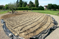 irrigazione-aldrovandi-vivai-garden-05