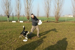 sgambatoio_cani_03
