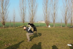 sgambatoio_cani_04